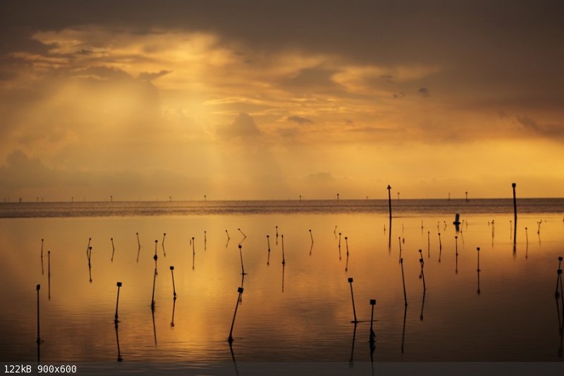 sunset 3. FL.jpg - 122kB