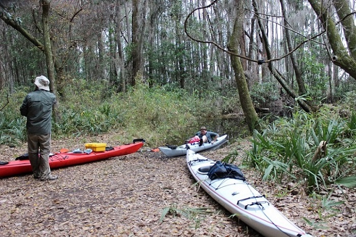 Floyds Island, Okefenokee Swamp.jpg - 236kB