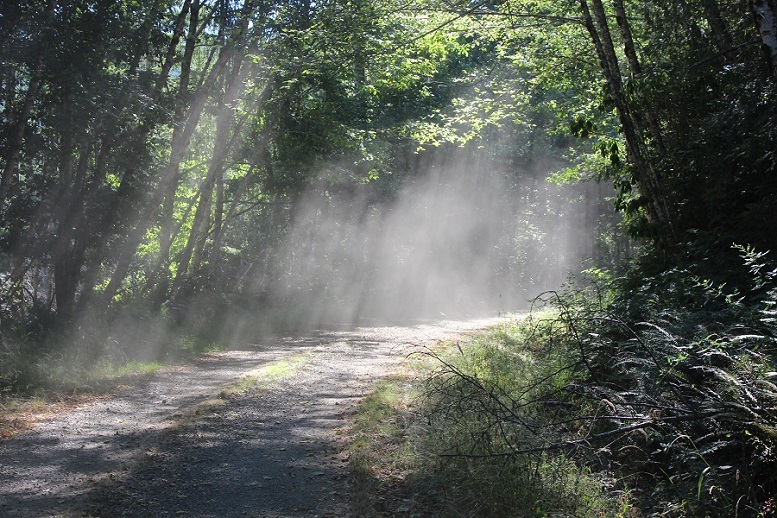 Dirt Road Southern Oregon.jpg - 248kB