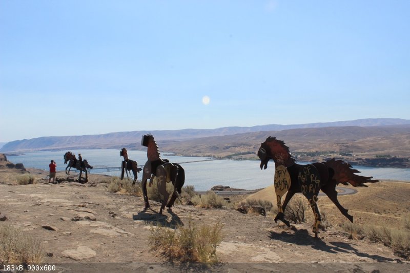 Horse Art, Eastern WA.jpg - 183kB
