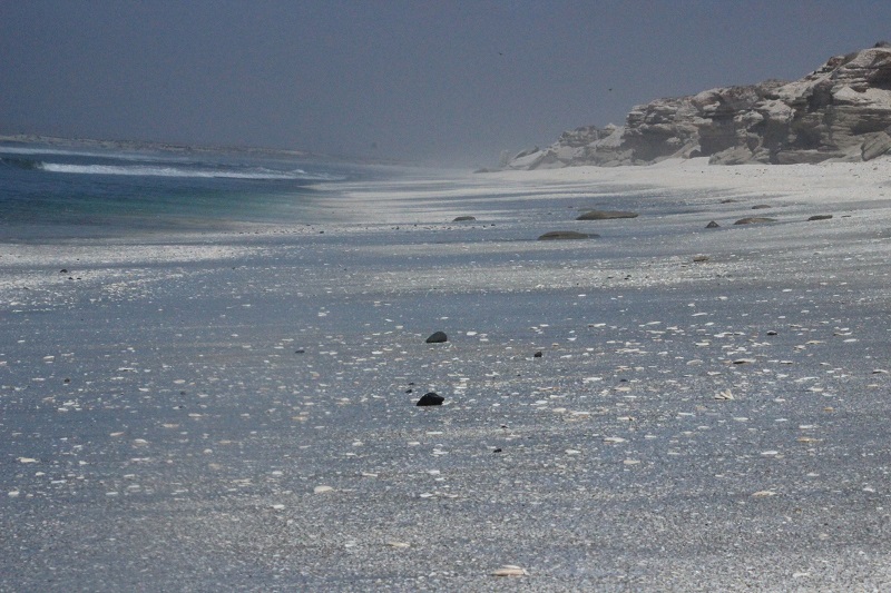 Shari beach 2.JPG - 191kB
