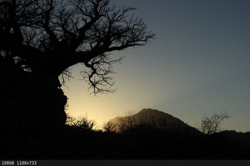 Vizcaino Sunset.JPG - 198kB