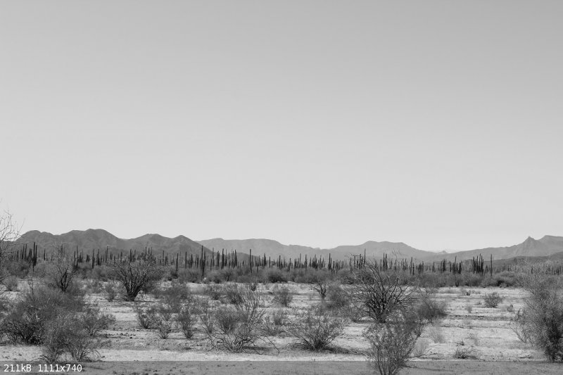 Dam Desert BW.JPG - 211kB