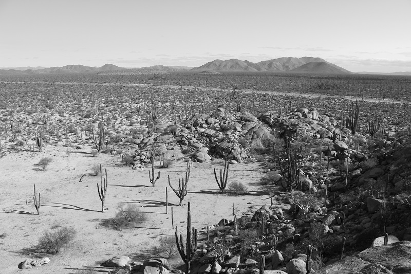 Fox hill BW.JPG - 216kB