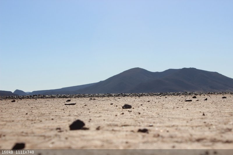 Dry lake.JPG - 160kB