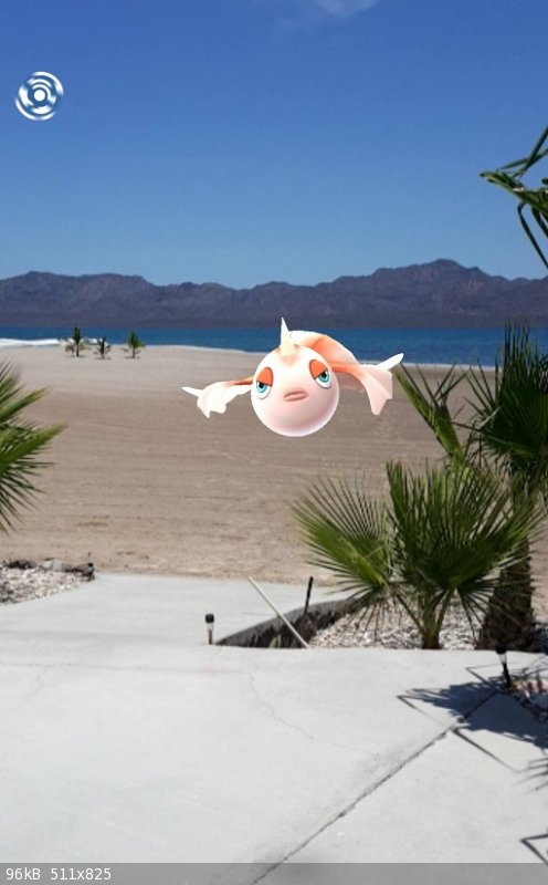 pokeman.jpg - 96kB