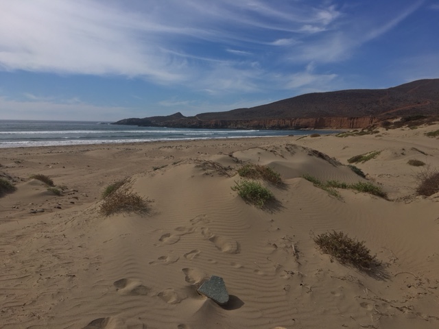 baja1.JPG - 102kB
