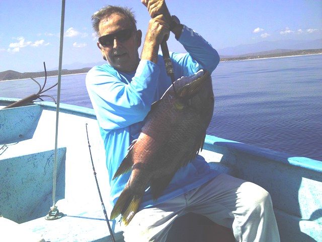 pargo gaff.jpg - 78kB