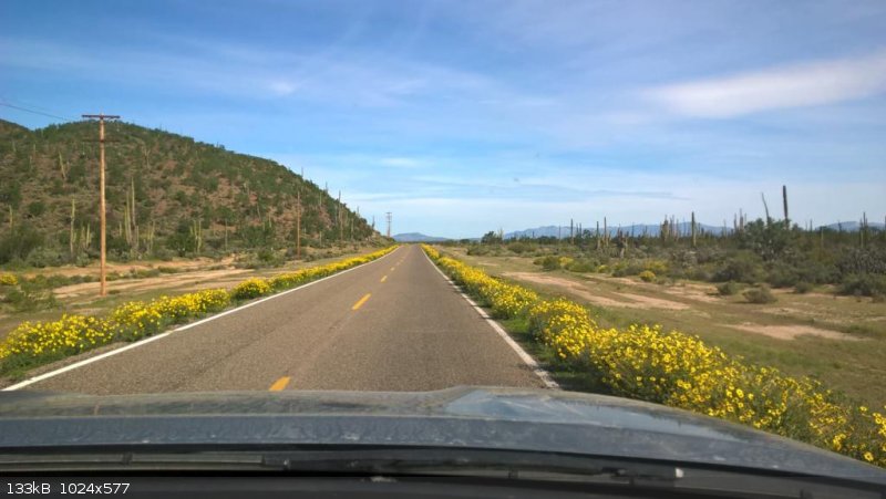 WP_20170305_10_02_06_Pro_1024x577.jpg - 133kB