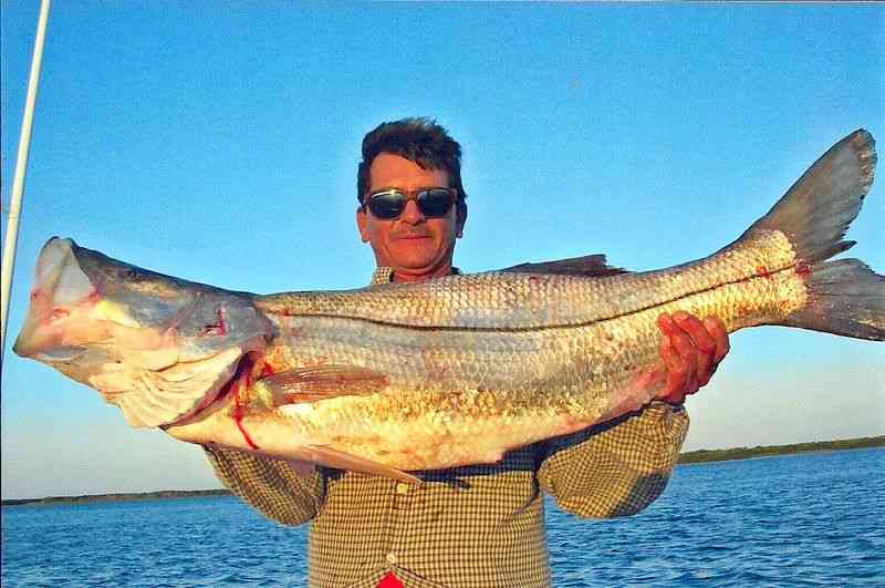 BN robalo.jpg - 45kB