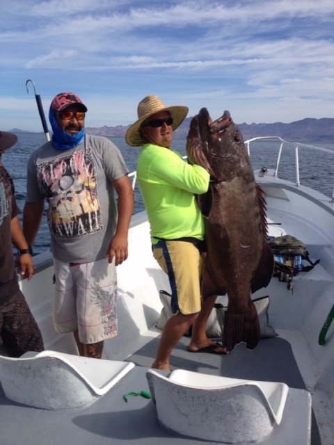 grouper.JPG - 107kB
