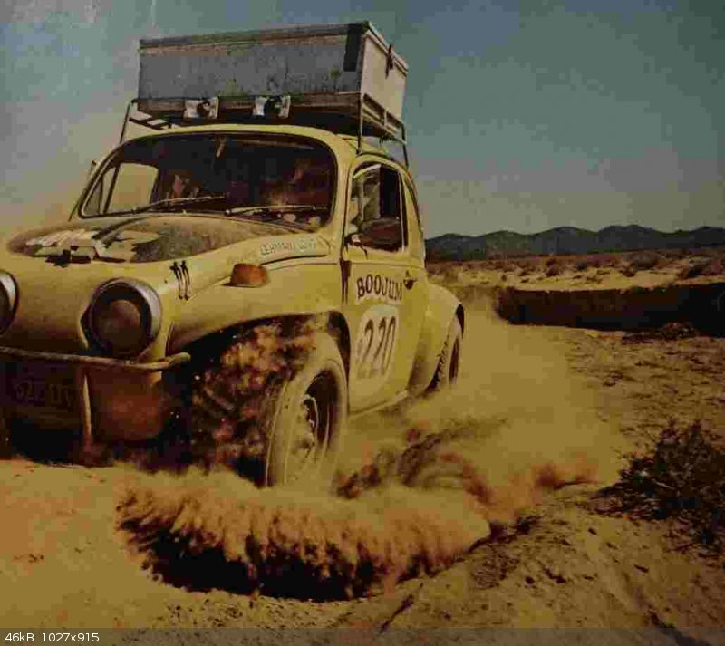 bajabeetle2.jpg - 46kB