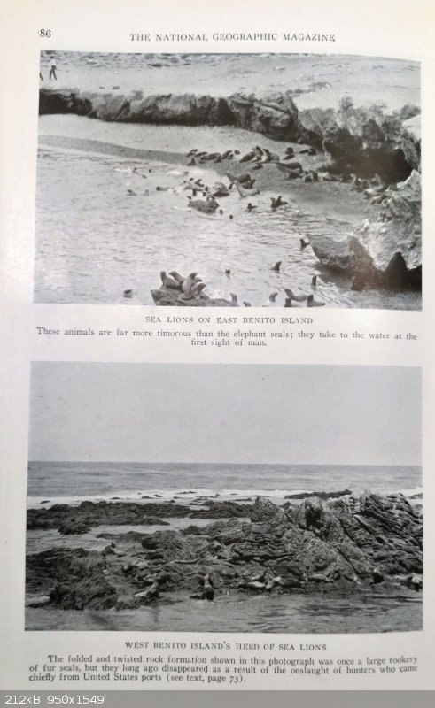 15.jpg - 212kB