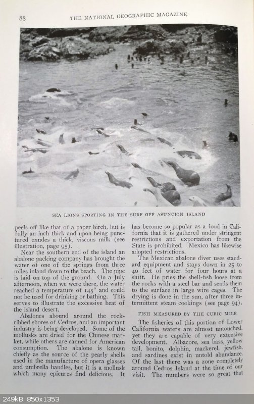 17.jpg - 249kB