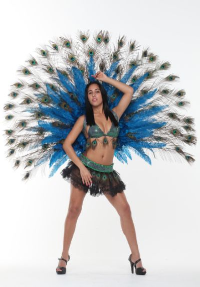 deluxe-peac-ck-feathers-zoom.jpg.cf.jpg - 32kB