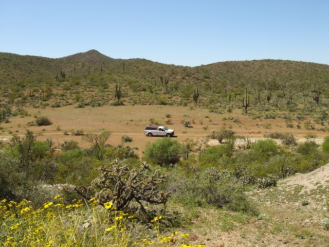 calmalli 048.jpg - 154kB