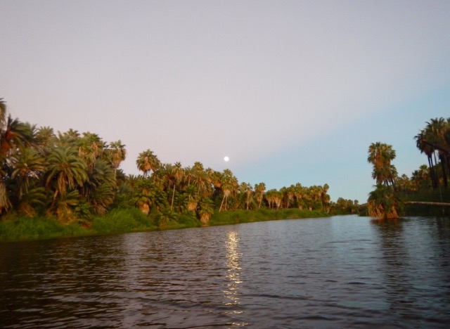 IMG_0576.PNG.jpg - 66kB