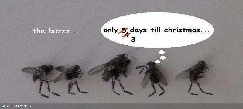 2011 fly art.jpg - 36kB