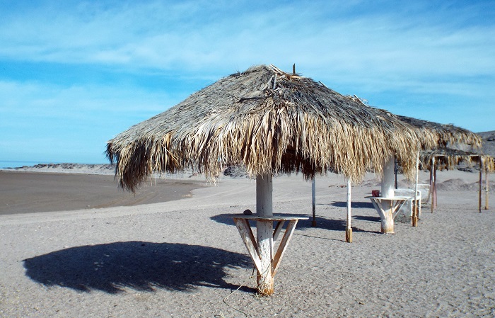 DSCF1229.JPG - 239kB