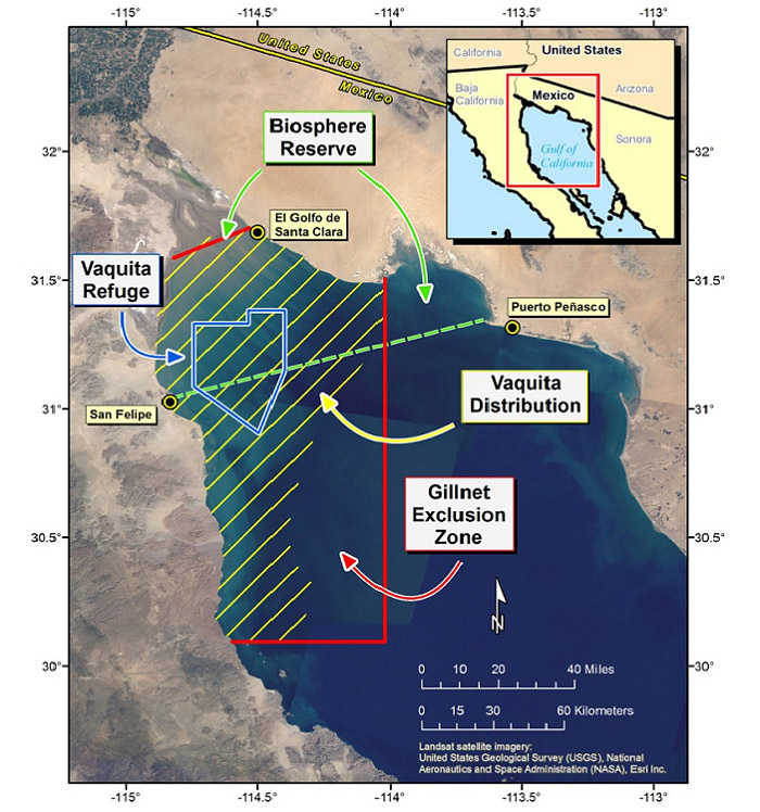 Vaquita Map 700px 1.jpg - 193kB
