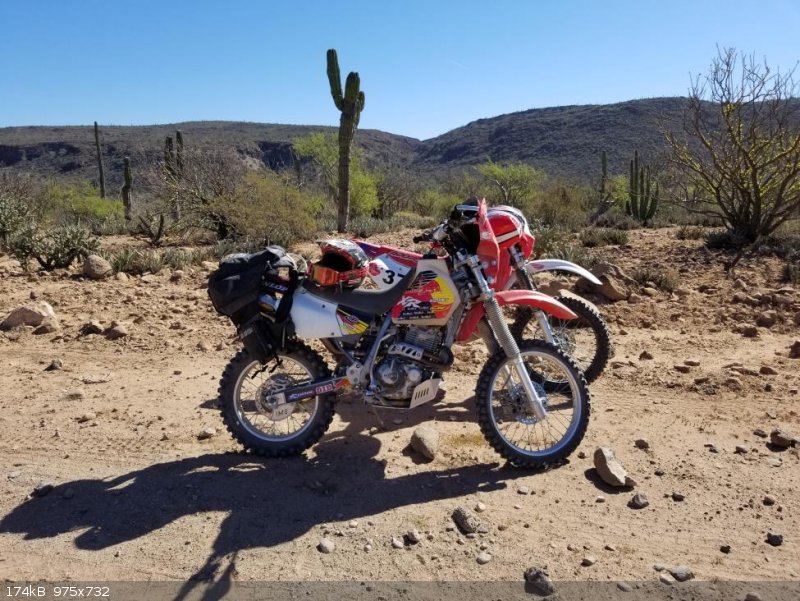 El Arco Bikes.jpg - 174kB