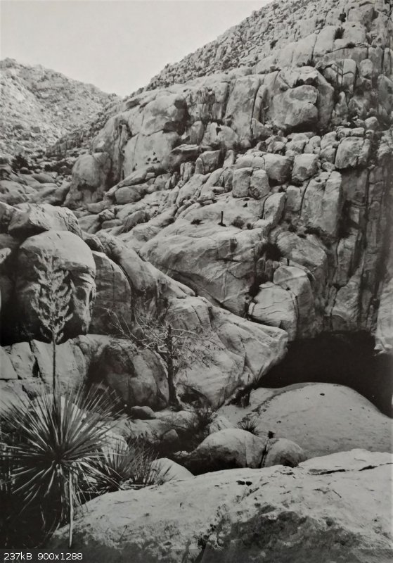 Yubay - the call to california p 36_2.jpg - 237kB