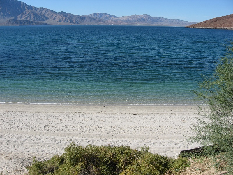 beach at scottsr1.jpg - 245kB