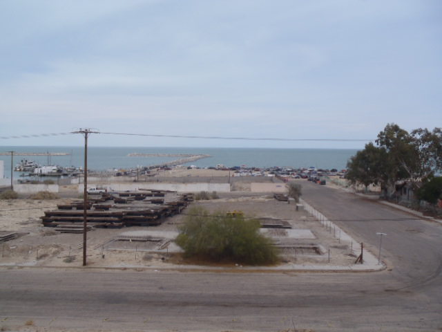 Marina.JPG - 81kB
