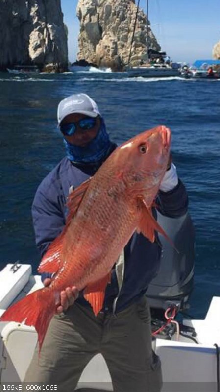 Pargo 2.jpg - 166kB