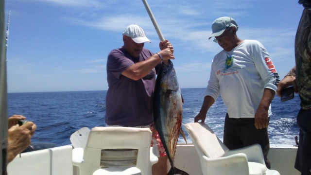 big tuna small.jpg - 70kB