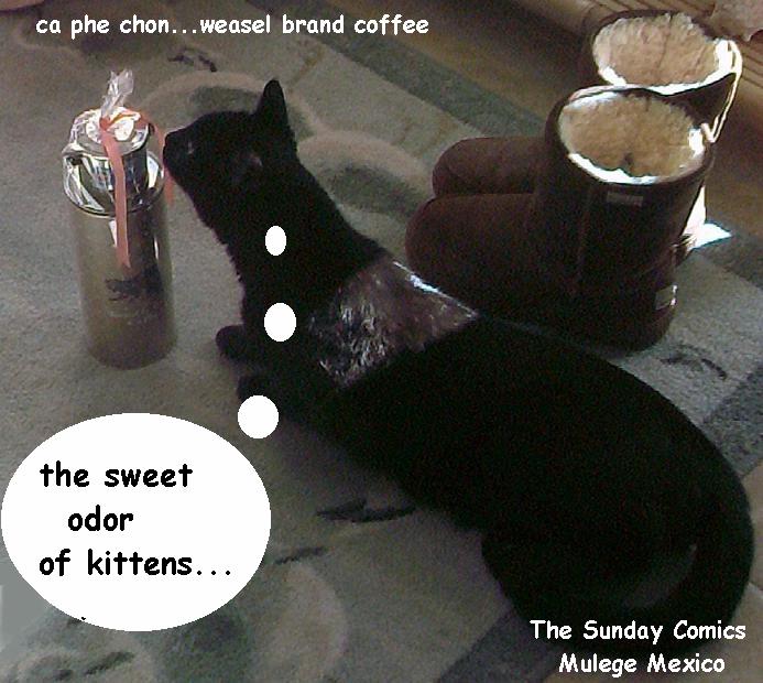 coffee.jpg - 66kB