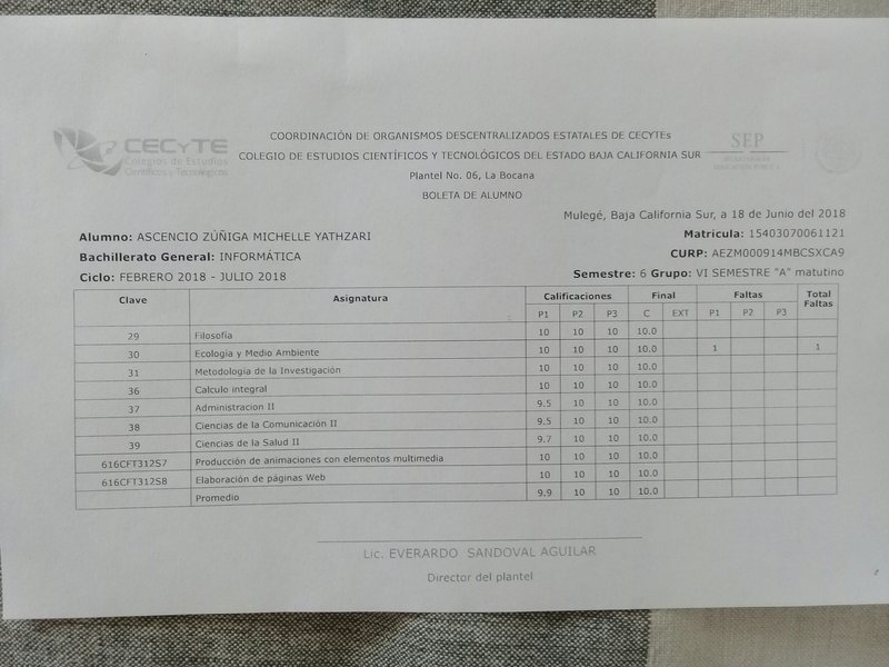 rsz_final_grades_michelle_july_2018.jpg - 77kB