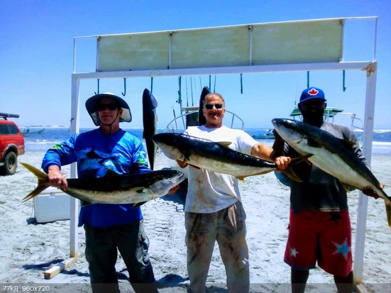 fishermen.jpg - 77kB