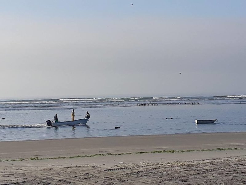 rsz_beach_restaurant_view.jpg - 62kB