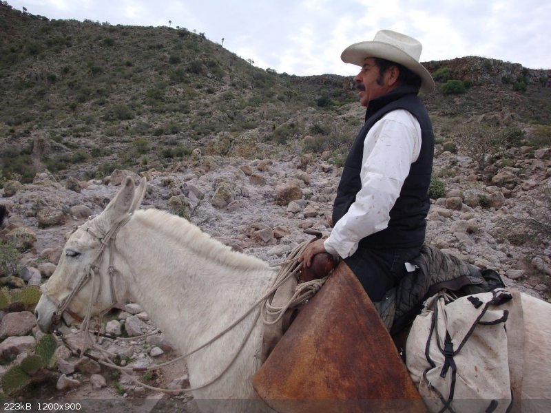chema2.JPG - 223kB