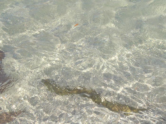 DSC02670.jpg - 86kB
