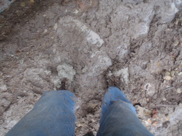 PA072478.JPG - 81kB