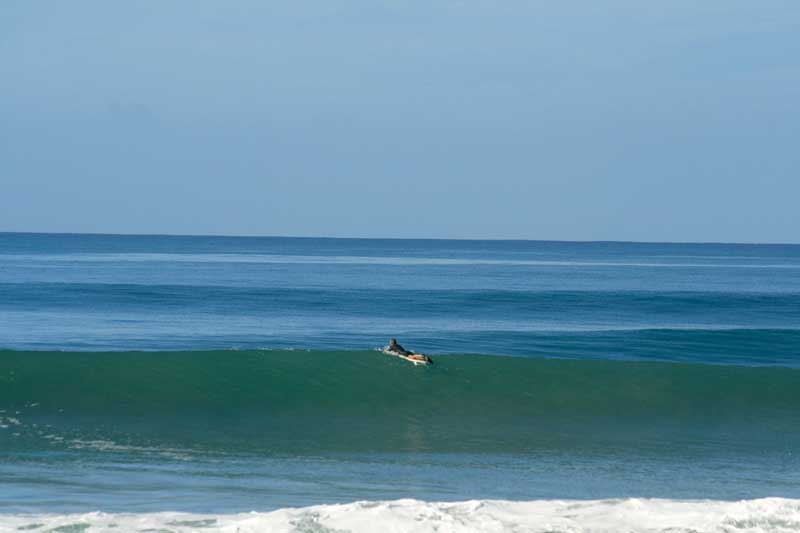 +paddling-out-2.jpg - 18kB