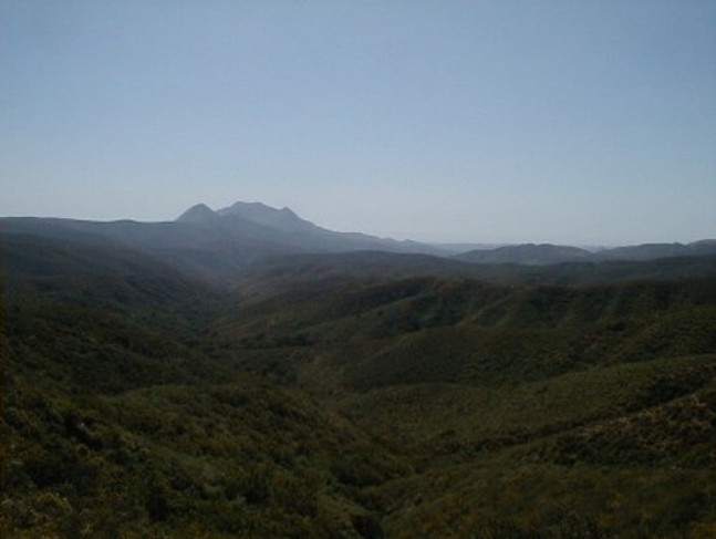 4-10-05 021.jpg - 42kB