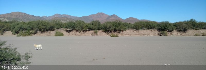 04 arroyo.jpg - 70kB