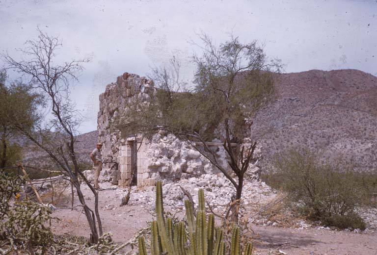 1955-3.jpg - 75kB