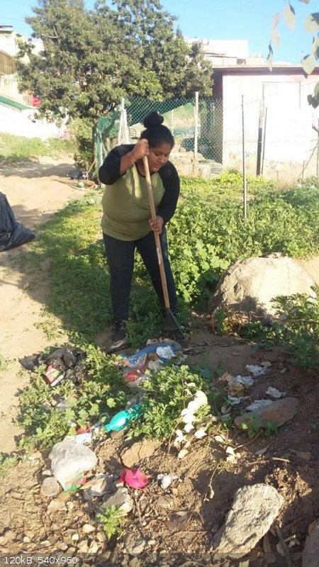 Sarahi raking 1.jpg - 120kB