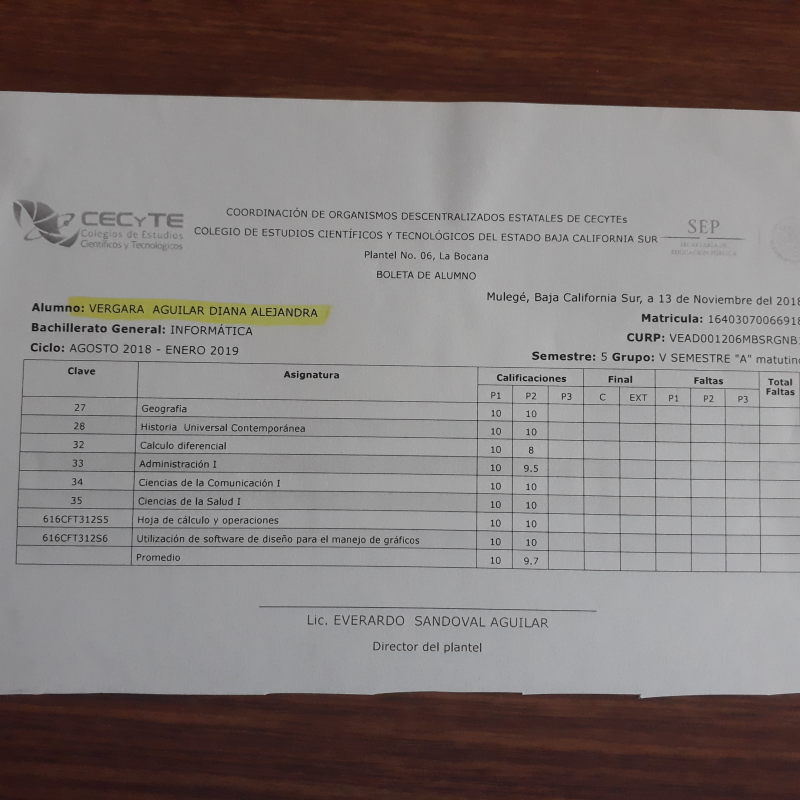 3 Diana report card  A.jpg - 86kB