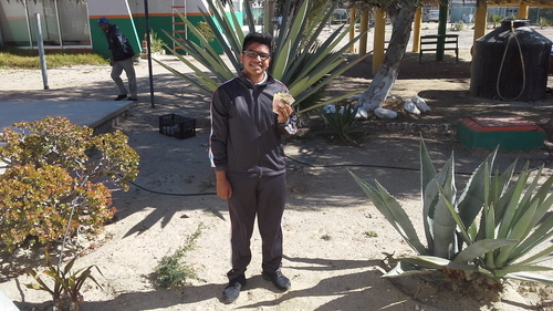 rogelio--entrance-exam-cash-in.jpg - 185kB