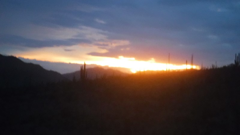 DSCF1972.JPG - 76kB