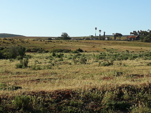 johnson-house-afar.jpg - 234kB