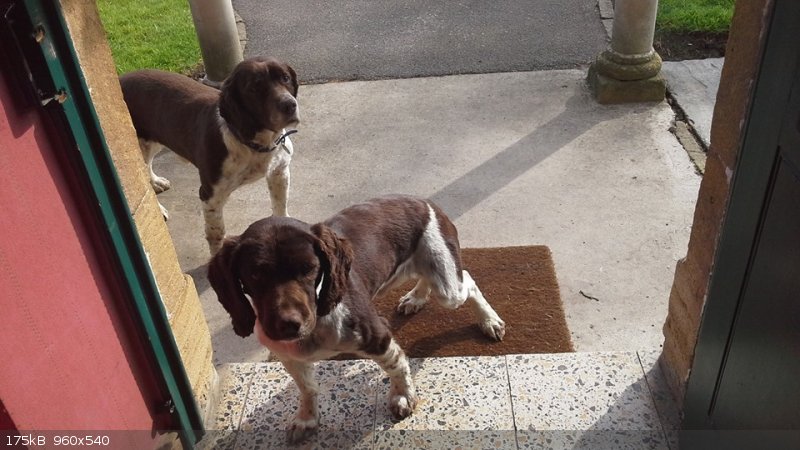 Max and brother.jpg - 175kB