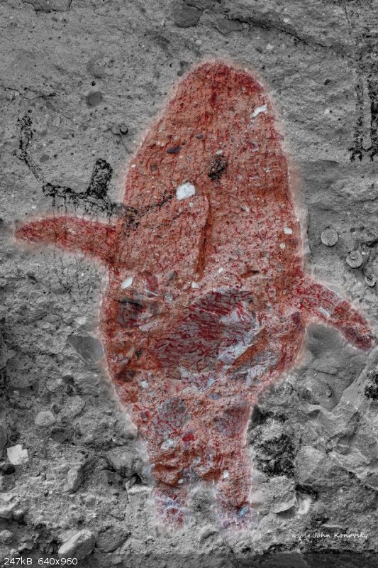 BP Rock Art Whale.jpg - 247kB