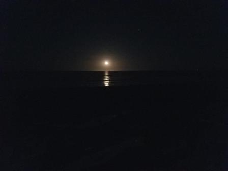 20170610_205846.jpg - 12kB