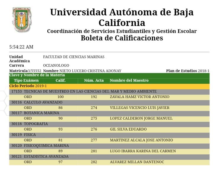 June 2019 grades Cristina.jpg - 54kB